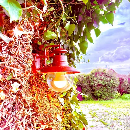 La Ferme Des Roses Quarto em Acomodações Particulares